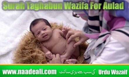 Surah Taghabun Wazifa For Aulad In Urdu